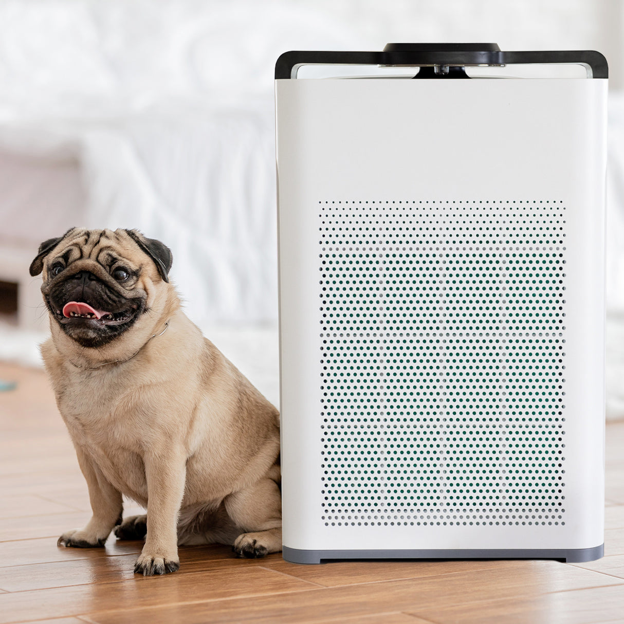MyGenie Pure Max Carbon Filter Air Purifier