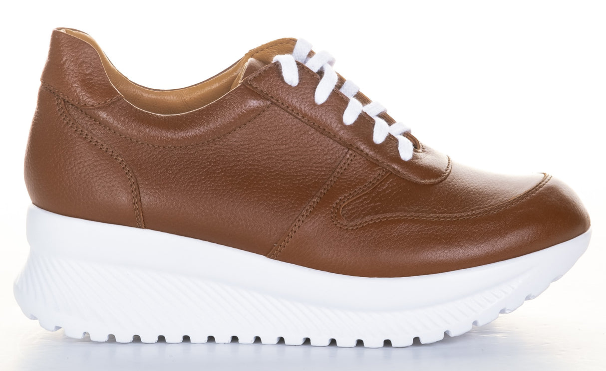 Bosccolo Womens Sneakers - Brown/White