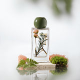 Ebony Rose Wildwood Reed Diffuser