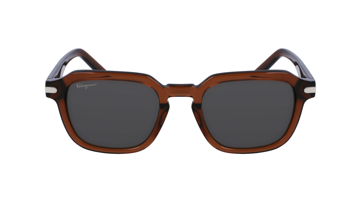Salvatore Ferragamo SF1089S Mens Sunglasses - Transparent Brown