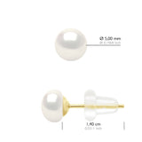 Earrings Real Cultured Freshwater Pearls Button 5-6 mm - Natural Pearl White - Longueur 42 cm