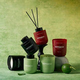 Healing Wood Longjing Candle & Diffuser Gift Set