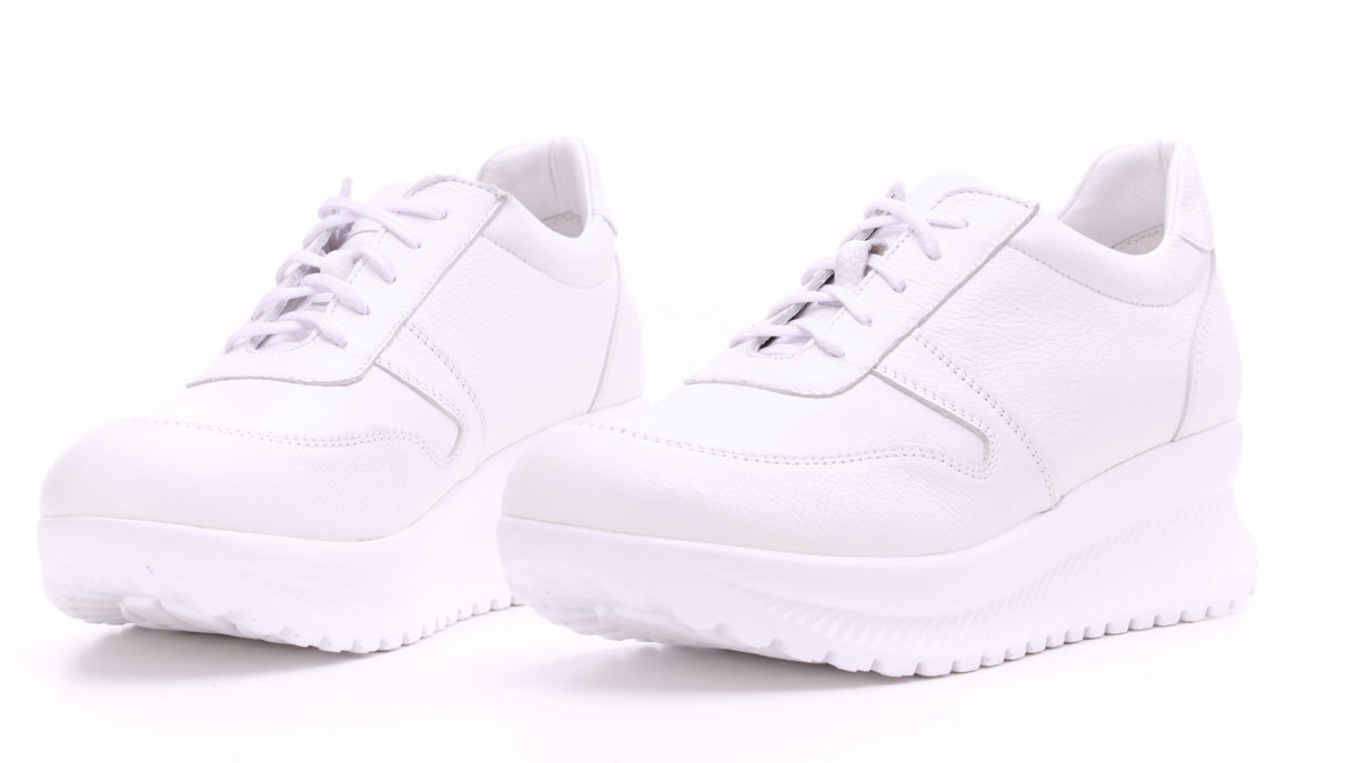 Bosccolo Womens Sneakers - White