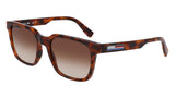 Lacoste L6028S Mens Sunglasses - Havana