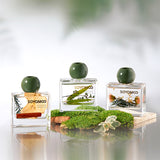 Green Bamboo Grove Wildwood Reed Diffuser