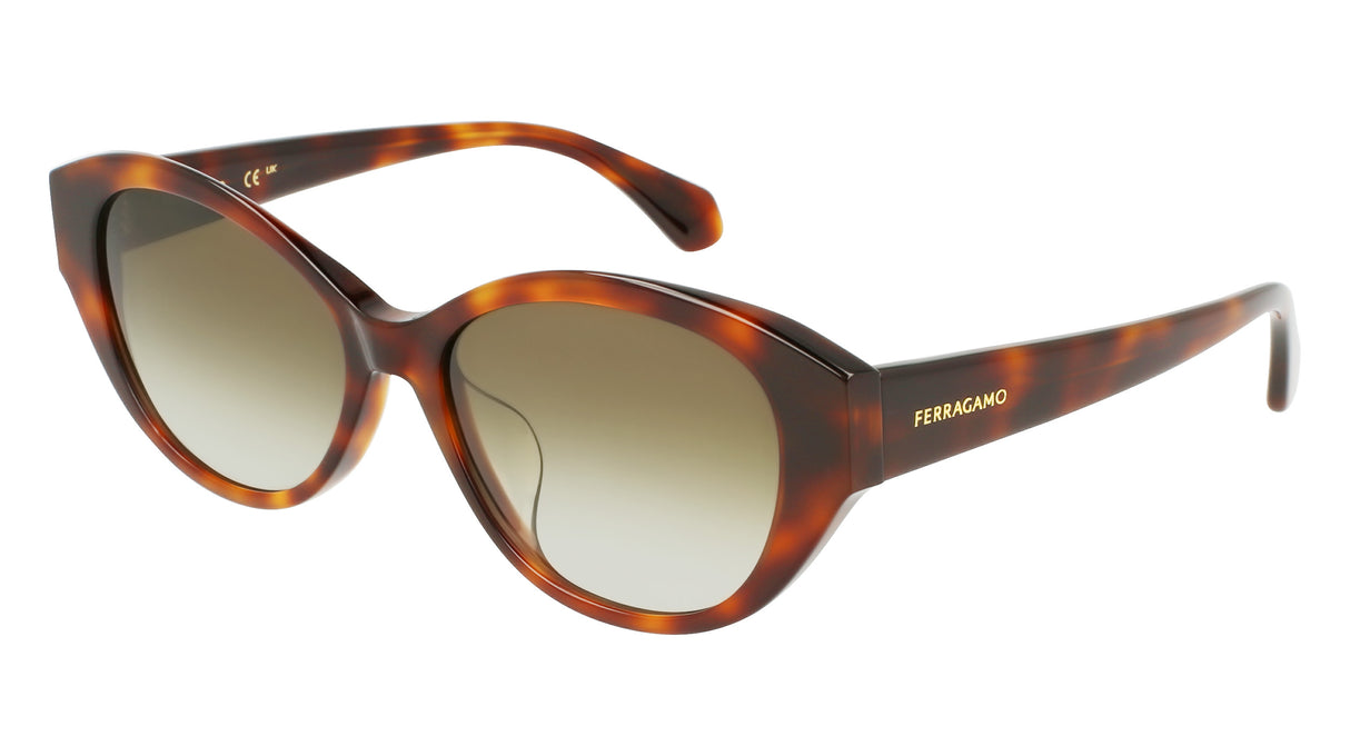Salvatore Ferragamo SF1114SLB Womens Sunglasses - Tortoise