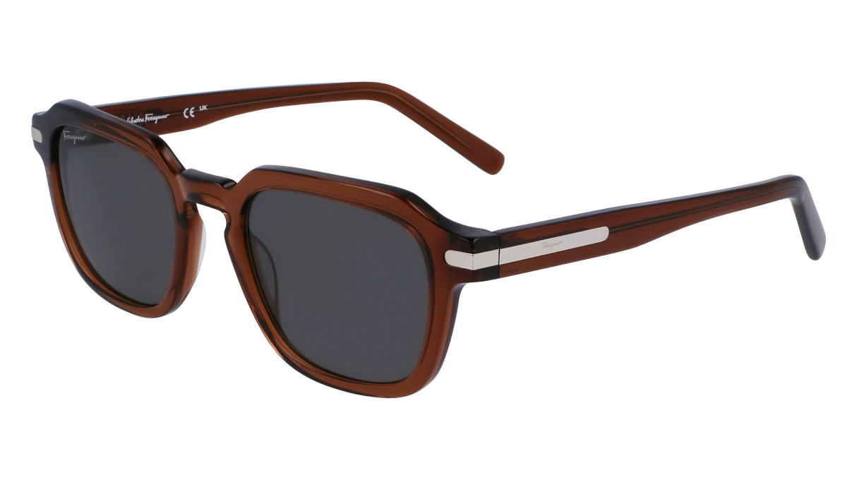 Salvatore Ferragamo SF1089S Mens Sunglasses - Transparent Brown